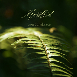 午夜宅男免费在线视频
