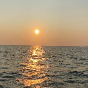 午夜宅男免费在线视频
