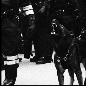 午夜宅男免费在线视频
