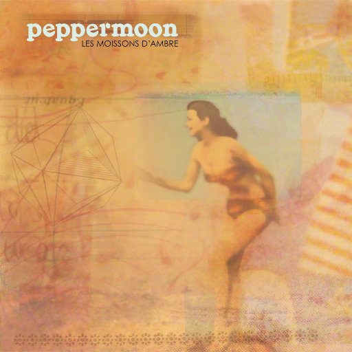 午夜宅男免费在线视频
